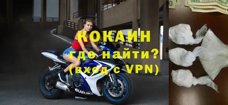 купить наркотики цена  Губаха  COCAIN VHQ 