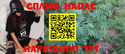 apvp Беслан