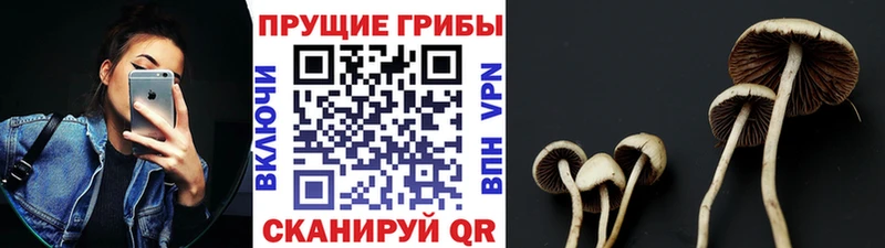 Галлюциногенные грибы Cubensis  Губаха 