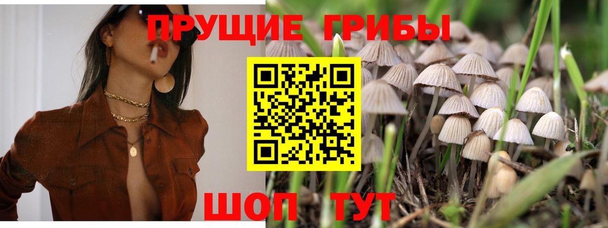 Псилоцибиновые грибы ЛСД  Псилоцибиновые грибы Magic Shrooms  Губаха  Вход с VPN 